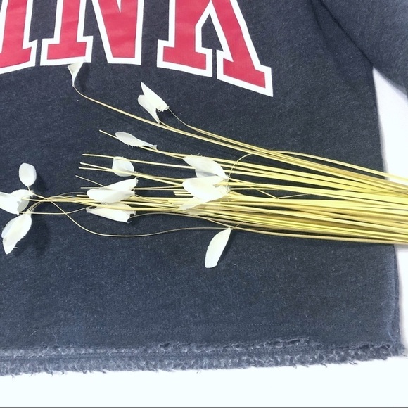 PINK Cropped Hoodie - Picture 4 of 8